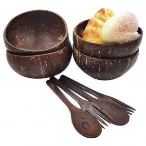 Coconut Bowls 10 Pack for Acai Smotthies Shell Diy Paint Dish Key Bowl Storage Tool Tray Smoothie and Spoons Cocopalm